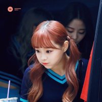 paige🍎 (@loonathepaige) 's Twitter Profile