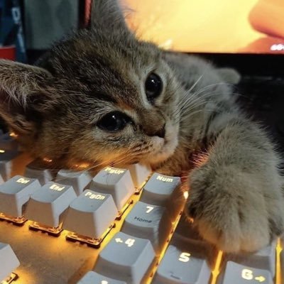 koya_js's profile picture. 中学3年生でWEBサービスを事業譲渡して新たに WEBサービスを開発している平凡な高校生です 😰