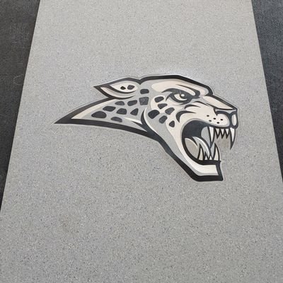 Jaguar Athletic Strength Speed & Resiliency - Ankeny Centennial HS - Athletic Performance Dev. for 5-12 graders