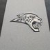 ACHS Sports Performance (@jaguarsandc) Twitter profile photo ACHS Sports Performance (@jaguarsandc) Twitter profile photo