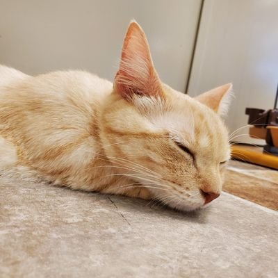 おとさんのプロフィール画像