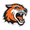 RITathletics's profile picture. The official account of RIT Athletics - home of the Tigers! 22 Division III sports, Division I men's and women's hockey teams. #RoarTech