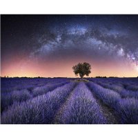 Haidang6 (@haidang62) 's Twitter Profile