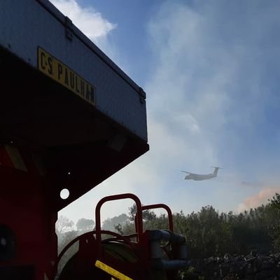 cispaulhan34's profile picture. 