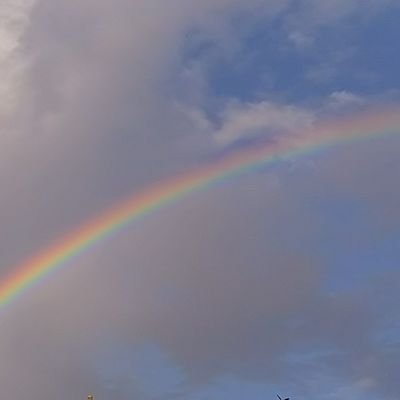 HDhXrcvcMaW2X8L's profile picture. 無言フォロー＆ＲＴ＆いいね等🙇💦 ⚾️G22📣 その他色んなジャンル。情報収集。