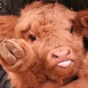 Asher Cole - @AshesToAshes007 - Twitter