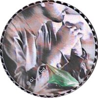 مجــرد حلم (@al___bd) 's Twitter Profile Photo مجــرد حلم (@al___bd) 's Twitter Profile Photo