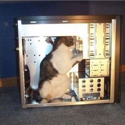 abuyappie's profile picture. 