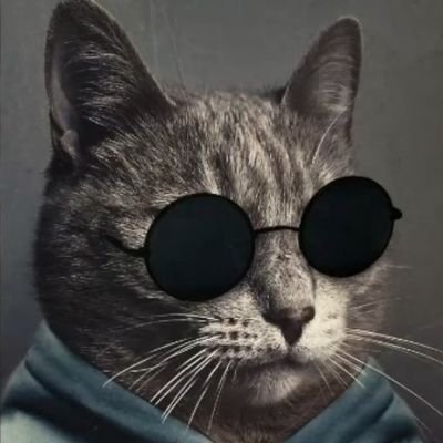 RaBBitTeam2's profile picture. 