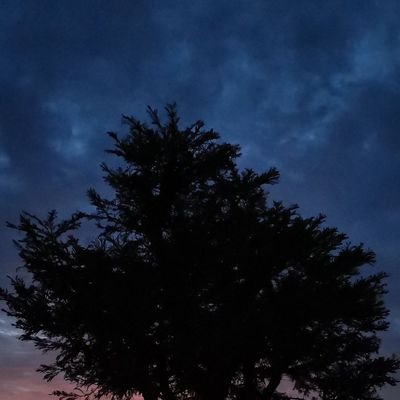 Ali25166169's profile picture. ‏‏ ومرحبا