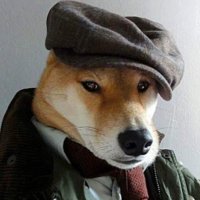Ники Куки (@nikolaykuk) 's Twitter Profile