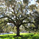 Gina Hogan - @31rocksthesouth - Twitter