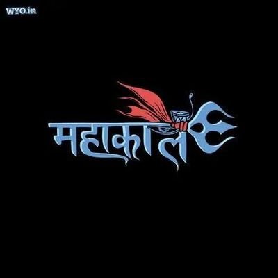 SfddWgss's profile picture. 