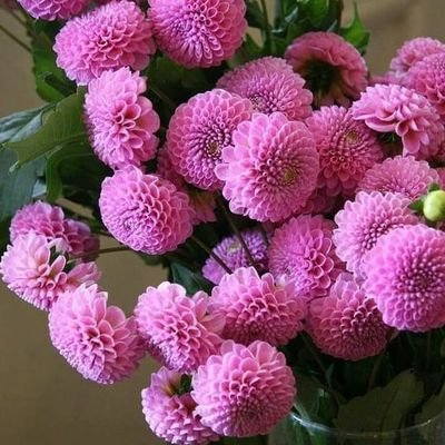 ‏‏‏‏‏اذا لم تستحي فاصنع ما شئت