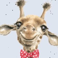 tilly (@tillybrock3) 's Twitter Profile Photo tilly (@tillybrock3) 's Twitter Profile Photo