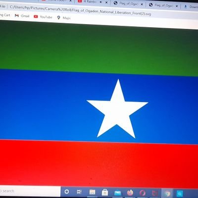 Abdisalan jibril star transport owner and general manager of the company