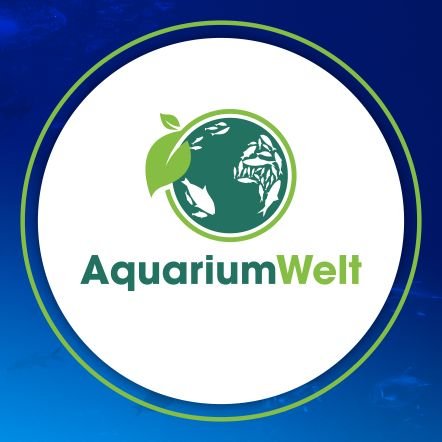 Auf #AquriumWelt schreibe ich über Themen der #Aquaristik wie #Fische, #Garnelen, #Pflanzen und #Technik. Vorlage sind meist meine eigenen #Becken.