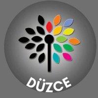 Düzce KHK'lılar Platformu (@duzce_khk) 's Twitter Profile Photo Düzce KHK'lılar Platformu (@duzce_khk) 's Twitter Profile Photo
