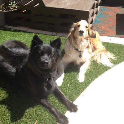 jnosullivan33's profile picture. 