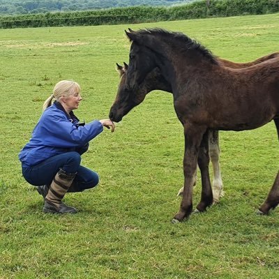 Lived in West Wales for almost 18 years! love my Welsh Cobs (Horses!) GnT, cars and cats.