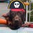 lookiespook's profile image
