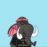 Kam.eth (@6697elephant) 's Twitter Profile