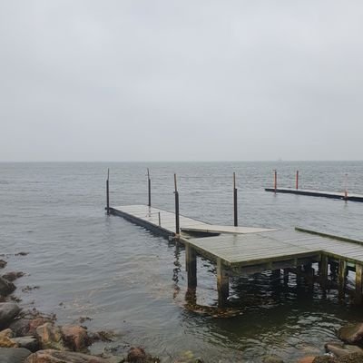 am_zo's profile picture. בגרון ניחר בניכר,עוכר ומאחר.פעם עשיתי יוגה. דווקא זוכר את הפעם הזו לטובה.