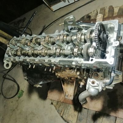 dekony60's profile picture. 