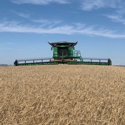 smith_ellery's profile picture. 