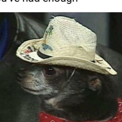 Texdom7's profile picture. 