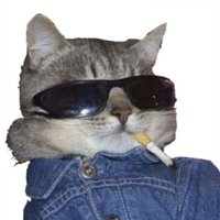 madep (@mmdhskk) 's Twitter Profile Photo madep (@mmdhskk) 's Twitter Profile Photo