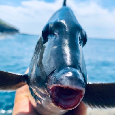 BTCIQU7i5Trhtgj's profile picture. 