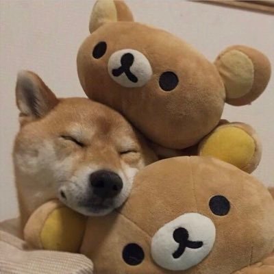 🐕さんのプロフィール画像