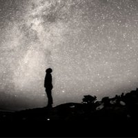 ♦️ TheBoldest (@attractingbtc) 's Twitter Profile