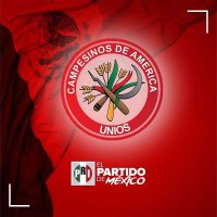 CNCSinaloa (@cncsinaloa) 's Twitter Profile Photo CNCSinaloa (@cncsinaloa) 's Twitter Profile Photo