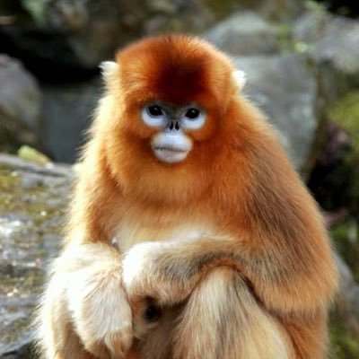 MatthewYuen05's profile picture. 