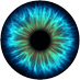 Crypto Visions (@cryptovisions1) Twitter profile photo Crypto Visions (@cryptovisions1) Twitter profile photo