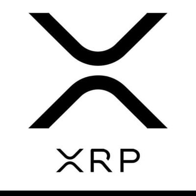 CryptoBullze's profile picture. 