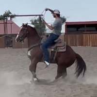 Tyler Richardson (@17trichardson17) 's Twitter Profile