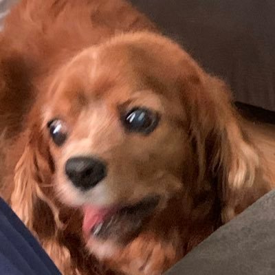 blinkblonk15's profile picture. 