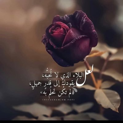 Qvu68tqN41rLGxI's profile picture. ‏يارب سهل لنادروب الخير في كل اتجاه  ‏فوضنا لك يا خالقي أدق الأمور و أجلها.