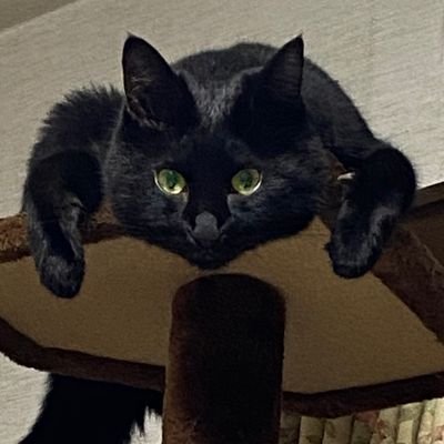 ポイ活 みんなの銀行などのキャンペーンや紹介コードなど皆さんと一緒に得する情報を発信していきます❗️自信でもデザイナー業、ポイントサイトなどでおこづかいを稼ぎながら取り組んでます💡情報活用してくださいね✨#フォロバ100 #ポイ活 #キャンペーン