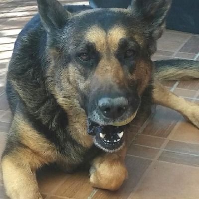 M_Marambi's profile picture. Amo