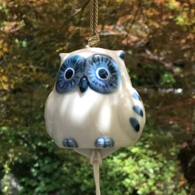 chouette_mm's profile picture. 