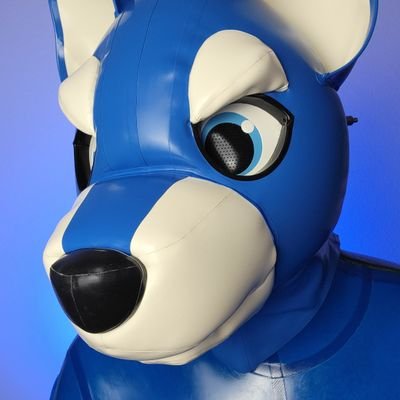 🔞 • (Semiprofessional) Shiny Rubber Animal • (Wannabe) Permanent Rubber Toy • (Your Next) Adoptable Pet • Seattle, WA