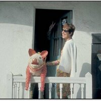 ndetrich (@ndetrich) 's Twitter Profile Photo