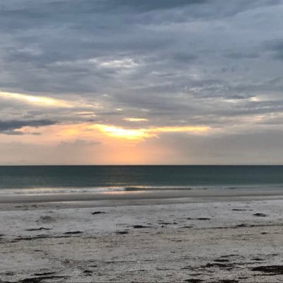 SCPT19881's profile picture. 