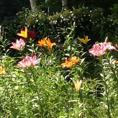 fukako69's profile picture. 成人済20↑ cqlからmdzs 渣反&天官 mxtx作品中心に中華BL💕 海外映画ドラマshipper rps💕 無言フォロー🙇‍♀️フォロバ感謝🥰 息子右耳真珠腫性中耳炎3回手術外耳道閉鎖 ボーンブリッジ