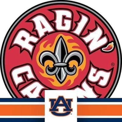 Rajun Cajun alum. Auburn fan to keep my stress level up. Car guy. Love my country but hate my government.