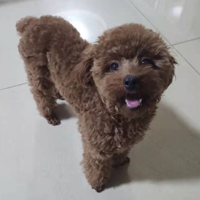 Rebecca5786's profile picture. Focus like a laser,not a flashlight.